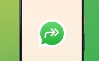 double arrow icon that appears in WhatsApp mean